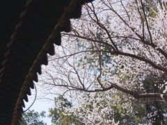 -颐和园