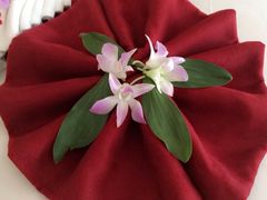 椰树岛海滩度假村-椰树岛海滩度假村