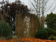 -白鹭湾湿地公园