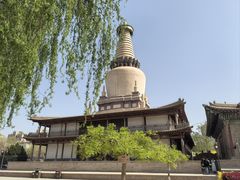 -张掖大佛寺景区