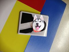 -方快-照相馆(嘉亭荟店)