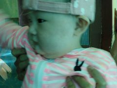 -北戴河圣蓝海洋公园