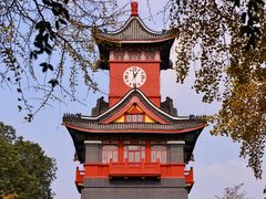 -四川大学(华西校区)