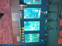 -S Team剧情密室(杭州龙翔桥店)