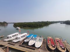 -东寨港红树林旅游区