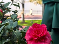 -浦江二号·独栋江景餐厅(滨江大道店)