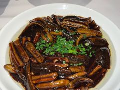 -席家花园(巨鹿花园店)