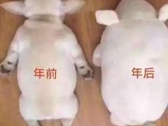 -强记海鲜菜馆