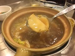 -大中鱼翅 Taitong Shark Fin