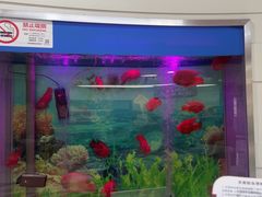 -雅悦齿科(顾村公园店)