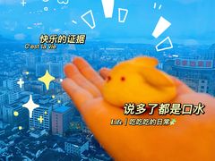 -绮梦西湖·云端餐厅(歌德店)