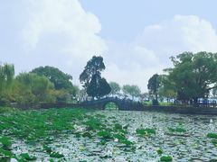 -无锡蠡湖国家湿地公园-蠡园