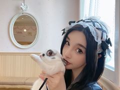 -猫猫幼稚园·撸猫·桌游·电玩
