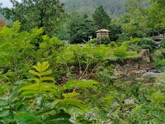 -天台山赤城山景区