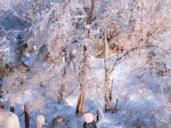 -崂山巨峰游览区