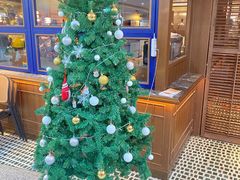 -前海沿·青岛菜(大拇指广场石老人店)