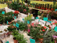 -秦美花卉(天朗·莱茵小城2期店)