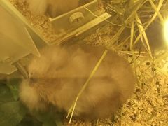 -龙猫仔乐园(惠福东路店)