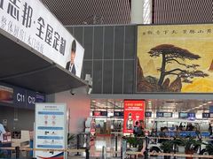 -合肥新桥国际机场-航站楼