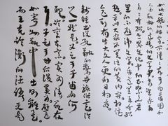 -【朵云轩艺术中心】博洛尼亚插画展·中国巡展·上海站
