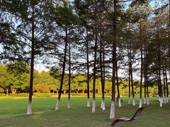 -宜兴龙背山森林公园
