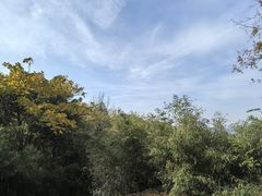 -杭州黄龙洞