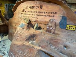 点击看大图 -奇幻萌宠部落(映月湖环宇城店)