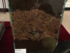 -北京动物园