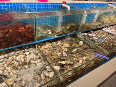 -港畔赶海蒸汽海鲜烧烤自助(仙螺岛店)