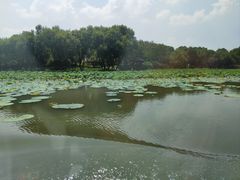 -湘湖大院(越王路店)