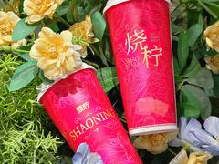 -烧柠·柠檬茶(大融城店)