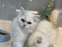 -萌兽医馆·眼科·异宠专科(三里屯店)
