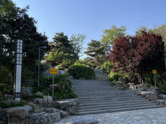 -大兴滨河森林公园