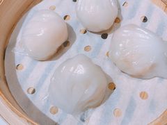 -春满园·早茶·粤菜·宴会(喜宴店)