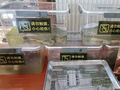 -美味故事特色餐厅(汉阳郭茨口店)