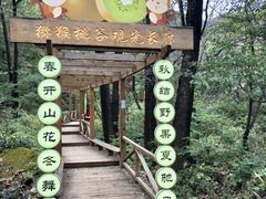 -大岭沟猕猴桃谷风景区