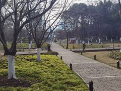 -白塔公园-儿童游乐园