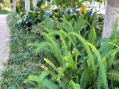 -成都市活水公园