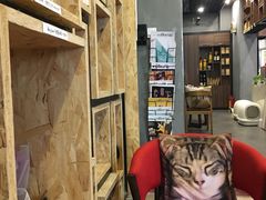 -咖法森林·咖啡  酒吧(天河店)