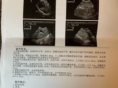 -北京赛佳动物医院