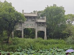 -西溪国家湿地公园