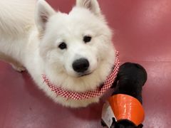 -和它·交个朋友·狗咖猫咖(爱琴海店)