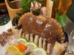 -扬之阿李菌汤火锅(1969店)