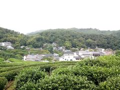 -龙井村