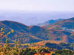 -香山公园