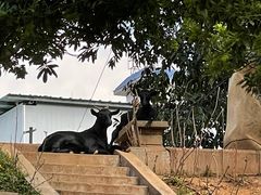 -广州天河希尔顿酒店