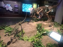 -自贡恐龙博物馆