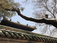 -北京国子监胡同