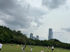 -莲花山公园
