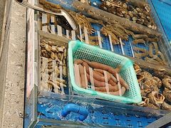 -船歌·鱼水饺青岛菜(闽江二路店)